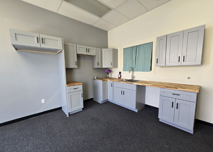 Kitchen Cabinets for Renovation